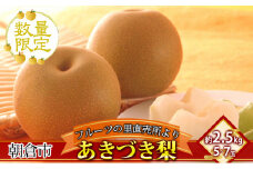 梨 フルーツの里の直売所より あきづき梨 2.5kg ナシ 果物 先行予約 子供 おやつ くだもの 