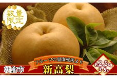フルーツの里の直売所より 新高梨 2.5kg