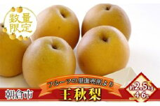 梨 フルーツの里の直売所より 王秋梨 2.5kg 九州の梨 天然の甘み 安心 安全 お歳暮 ギフト 