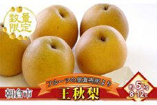 フルーツの里の直売所より 王秋梨 5kg