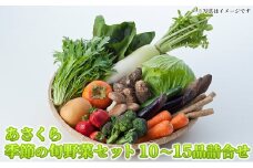 野菜セット おまかせ 10～15種 旬 朝倉市産 着日指定不可 配送不可 離島 詰合せ