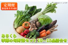 定期便 野菜セット 年4回 春夏秋冬 おまかせ 10～15種 旬 朝倉市産 配送不可 離島