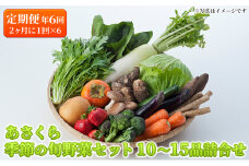 定期便 野菜セット 年6回 2か月に1回×6回 おまかせ 10～15種 旬 朝倉市産 配送不可 離島