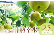 梨 幸水 まるで食べる梨ジュース！！甘熟 幸水梨 約2.5kg 4～7玉入 配送不可 離島
