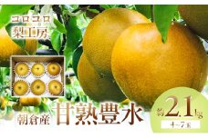 梨 豊水 まるで食べる梨ジュース！！ 甘熟 豊水梨 約2.1kg 4～7玉入 配送不可 離島