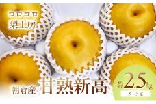 梨 新高梨 甘熟 味に自信あり！！約2.5kg 3～5玉入 配送不可 離島