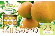 梨 あきづき まるで食べる梨ジュース！！甘熟 あきづき梨 約2.5kg 4～7玉入 配送不可 離島