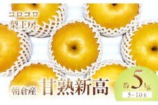 梨 新高梨 甘熟 味に自信あり！！約5kg 5～10玉入 配送不可 離島