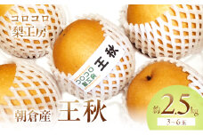 梨 王秋梨 まるで食べる梨ジュース！！約2.5kg 3～6玉入