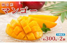 マンゴー 朝倉産 約300g×2個 配送不可 離島