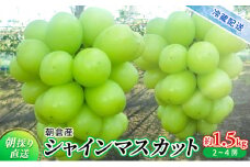 シャインマスカット 2025年発送 約1.5kg 旬菜板屋 配送不可 離島 果物類 ぶどう フルーツ