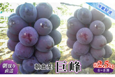 巨峰 2025年発送 約2.5kg 旬菜板屋 配送不可 離島 果物類 ぶどう フルーツ