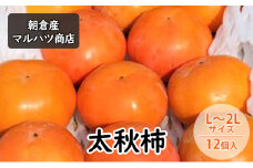柿 太秋柿 L～2Lサイズ×12個入 マルハツ商店 配送不可：離島