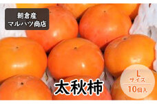 柿 太秋柿 Lサイズ×10個入 マルハツ商店 配送不可：離島