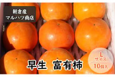 柿 富有柿 早生 Lサイズ×10個入 マルハツ商店