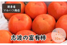 柿 志波の富有柿 Lサイズ×10個入 マルハツ商店