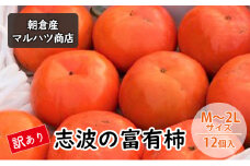 訳あり 柿 志波の富有柿 M～2Lサイズ×12個入 マルハツ商店
