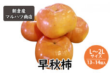 柿 早秋柿 L～2Lサイズ×13～14個入 マルハツ商店 配送不可：離島