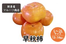 柿 早秋柿 L～2Lサイズ×13～14個入 マルハツ商店 配送不可：離島