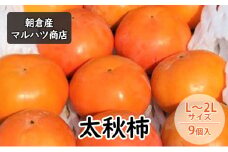 柿 太秋柿 L～2Lサイズ×9個入 マルハツ商店 配送不可：離島