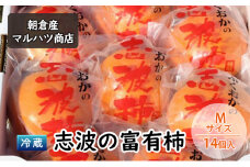 柿 冷蔵 志波の富有柿 Mサイズ×14個入 マルハツ商店 配送不可：離島