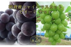シャインマスカット ピオーネ セット 2025年発送 各2房 正箱入りブドウ 葡萄 デザート フルーツ 果物  (有)ティース 配送不可：離島 