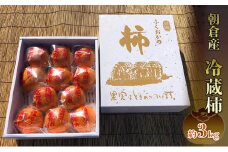 冷蔵 柿 約3kg 正箱入り フルーツ 果物 デザート かき カキ (有)ティース 配送不可：沖縄・離島 