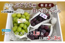シャインマスカット 1房 巨峰 2～3房 ぶどう 食べ比べ セット 2種類 配送不可 離島 フルーツ 果物類 高級フルーツ
