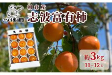 柿 志波 富有柿 約3kg 11～12玉 果物類 かき