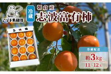 柿 志波 富有柿 冷蔵 約3kg 11～12玉 配送不可 離島 果物類 かき