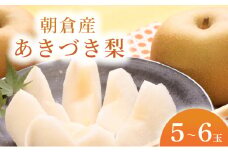 あきづき梨（5～6玉）＜ファームステーションバサロ＞