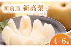 新高梨（4～6玉）＜ファームステーションバサロ＞