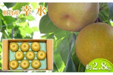 梨 幸水 2.8kg 2026年 発送 なし フルーツ 果物 くだもの デザート 筑前あさくら農協 配送不可 離島