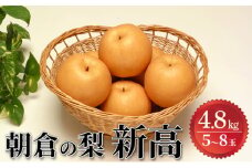 梨 2025年発送 新高 4.8kg 筑前あさくら農協 配送不可 離島