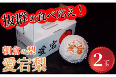梨「愛宕」（2玉×1）＜筑前あさくら農協＞※配送不可：離島