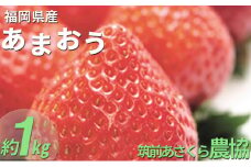 いちご あまおう 福岡県産 約1kg 250g×4パック 筑前あさくら農協 配送不可 離島 果物類 苺 イチゴ 配送期間：2026年1月下旬～3月上旬