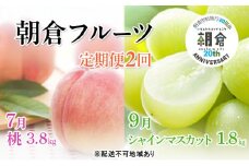 【朝倉市制施行20周年記念企画】限定 数量 定期便 2回 桃 シャインマスカット 2025年 発送 フルーツ 夏のフルーツ定期便 果物 もも モモ マスカット デザート 朝倉 ※配送不可 離島