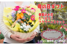 【母の日 ギフト】季節のフラワーバスケット【白鉢】（オンライン決済限定）