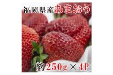 あまおう 約250g×4P