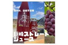 無添加 巨峰 ストレート ジュース 朝雫～AsaShizuku～
