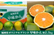 福岡限定 オリジナルブランド みかん「早味かん」約2kg【配送不可：離島】