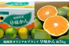 福岡限定 オリジナルブランド みかん「早味かん」約4kg【配送不可：離島】