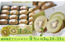 キウイ 甘うぃ あまうぃ 福岡限定 ブランド 約3kg箱 24～33玉 配送不可 離島