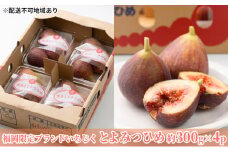 いちじく とよみつひめ 福岡限定 ブランド 約300g×4パック 配送不可 北海道 東北  沖縄 離島