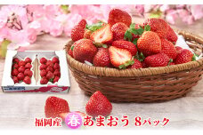 いちご あまおう 8パック 1Pあたり約250g 福岡のいちご！苺 本来の酸味と甘み 春 配送不可 離島