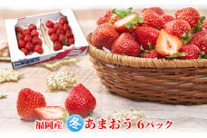 いちご あまおう 6パック 1Pあたり約250g以上 福岡のいちご 苺 本来の酸味と甘み 冬 配送不可 離島