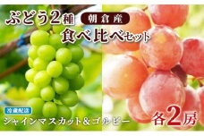 ぶどう シャインマスカット 2房 ゴルビー 2房 食べ比べ 約2kg 配送不可 離島