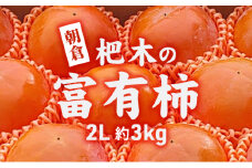 柿 かき 富有柿 3kg 2L サイズ 10～12個入り 朝倉 杷木の富有柿 カキ フルーツ 果物