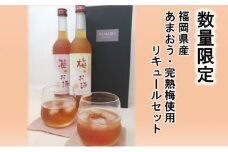 【数量限定】濃いめのお酒 飲み比べ 500ml×2本セット（苺のお酒/梅のお酒）