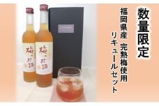 【数量限定】梅のお酒 500ml×2本セット